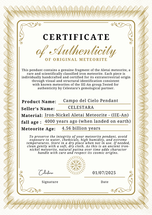 (only 1 available) Campo del Cielo Real Meteorite Pendant – CE-ALE-2505-020
